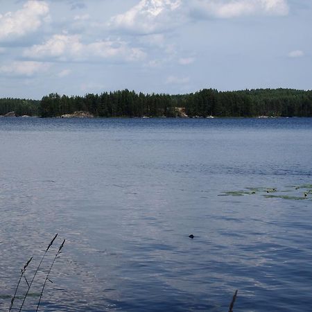 Kuoreksenniemi Villas & Lakehouse Puumala Exterior foto